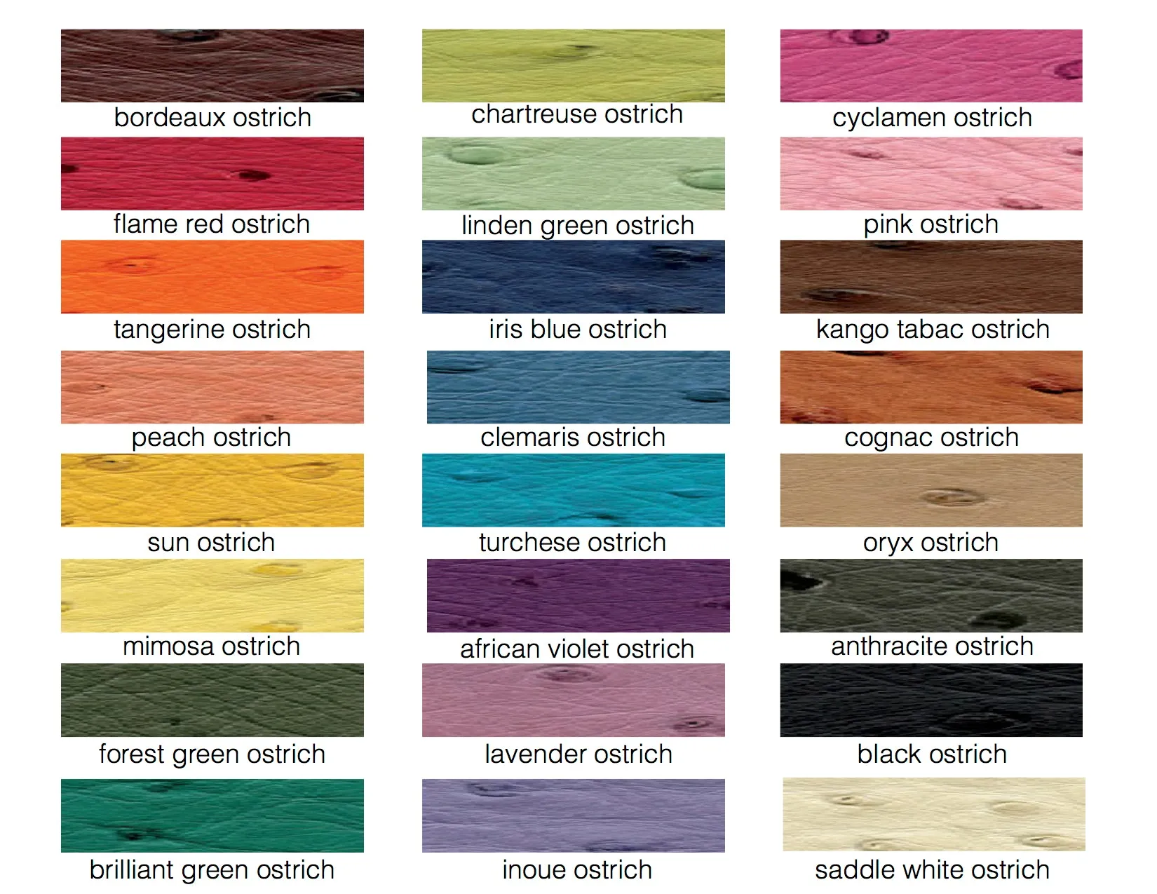 ANGELINA - ASSORTED COLORS